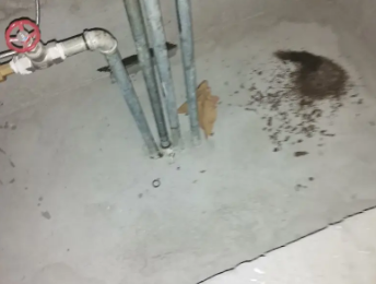 石峰卫生间测漏水价格明细