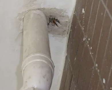 石峰漏水检测哪家好